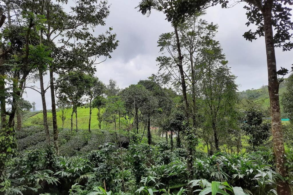 Farmstay In ചില്ലുകൂടാരം At Les Domki Et Al. Vagamon Dış mekan fotoğraf