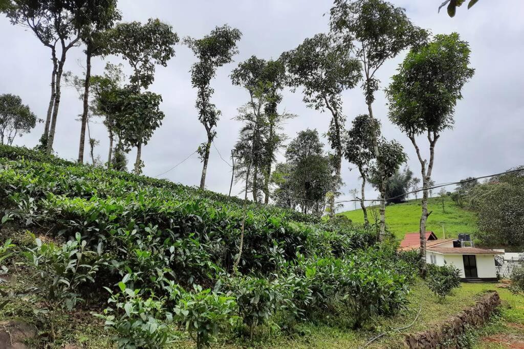 Farmstay In ചില്ലുകൂടാരം At Les Domki Et Al. Vagamon Dış mekan fotoğraf