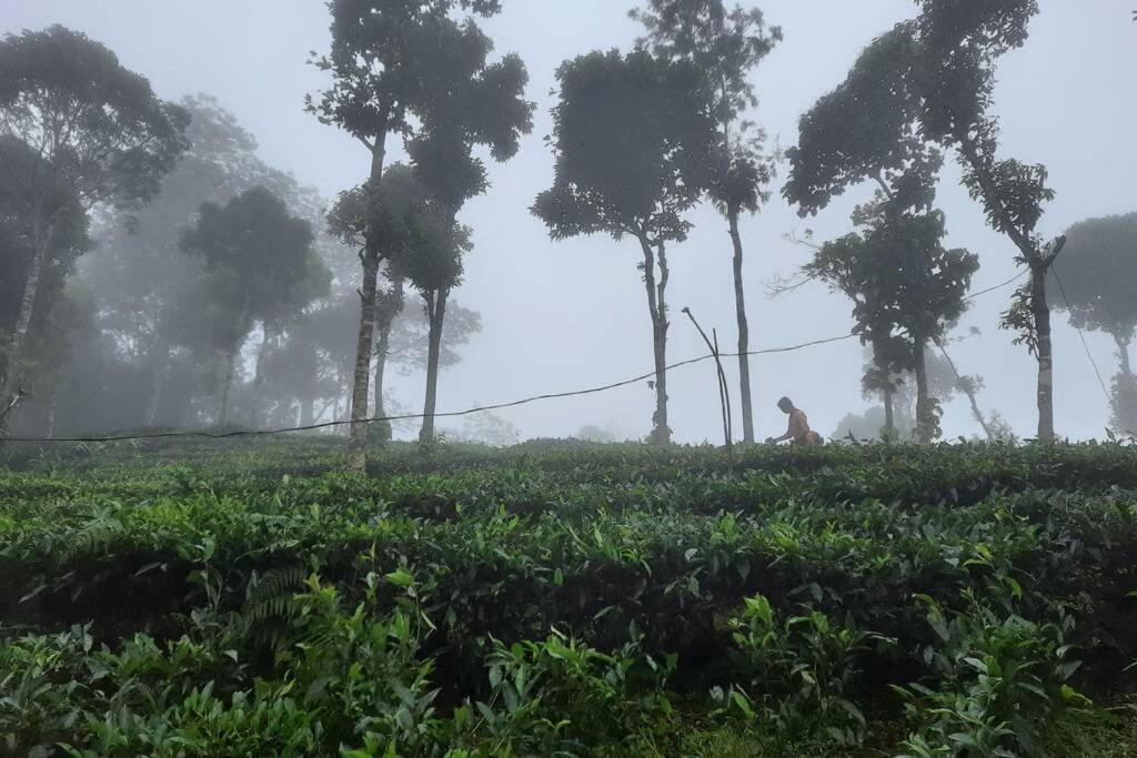 Farmstay In ചില്ലുകൂടാരം At Les Domki Et Al. Vagamon Dış mekan fotoğraf